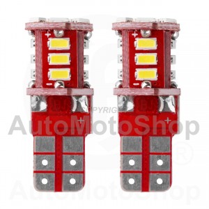 LED STANDARTS T10 W5W 21xSMD 3014 12V